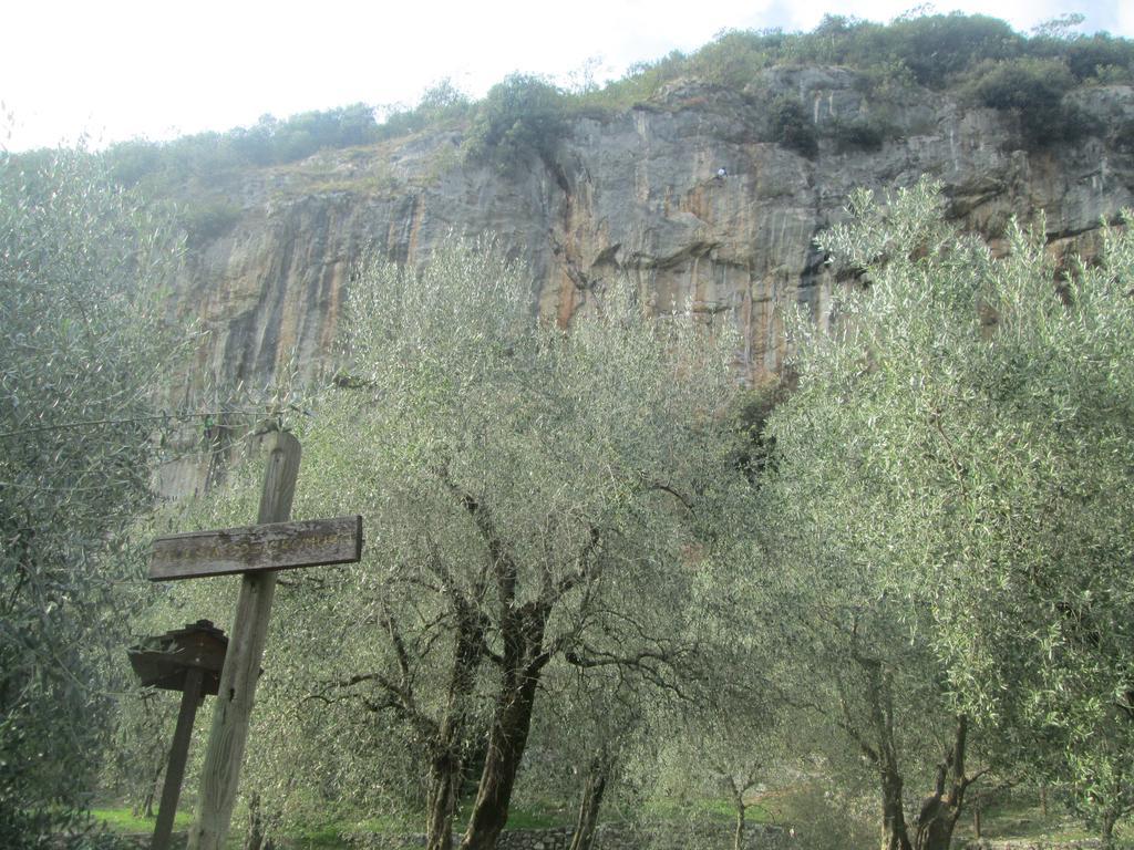 ארקו Massone Climbing Home מראה חיצוני תמונה